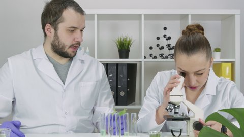 Two scientists working in laboratory developing microbiome-supporting skincare products testing ingredients, research next-gen supplements. Science-based skincare, high-performance skincare