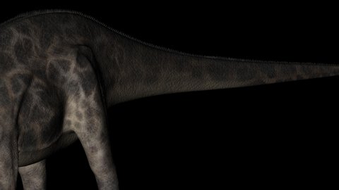 Dicraeosaurus Dinosaur in Rotation on Black Background