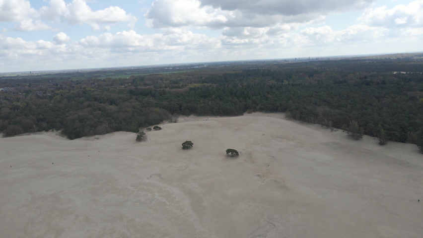 Aerial of trees in the middle of beautiful sand dunes