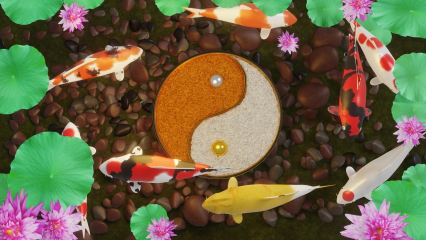 Koi  fish or fancy crap swim in a circle. Surrounding the yin and yang signs conveys feng shui. The floor of the pond is full of rocks. And pink lotus 3D Rendering.