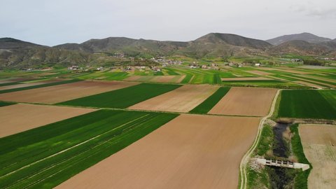Beautiful field with square agricultural parcels in brown and green colors near village
