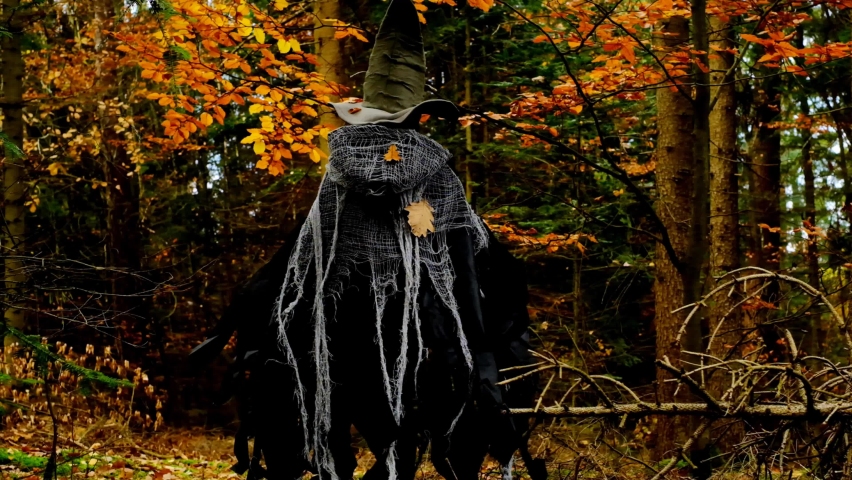 Halloween holiday.Little witch costume. Children