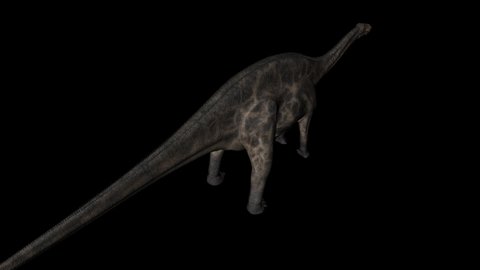 Dicraeosaurus Dinosaur in Rotation on Black Background from above