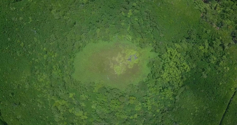 Aerial footage of Kanaka crater (Trou Kanaka) located near Bois Cheri, Mauritius