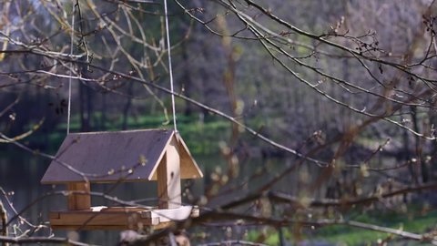 wooden bird feeder hanging on the tree and moving in the wind