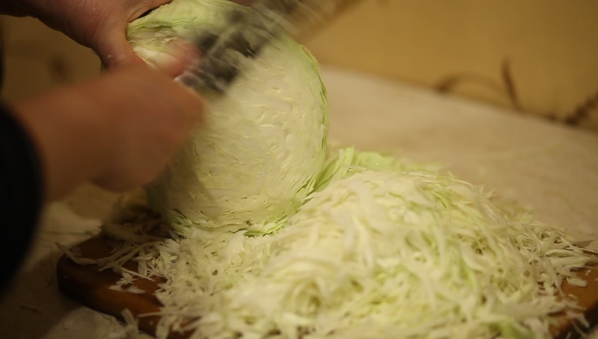 A woman slicing white cabbage on a cutting board on the table. Woman's hands cutting a fresh white cabbage on wooden cutting board using with a special cabbage knife.