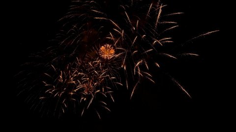 Fireworks amazingly explodes on a black background