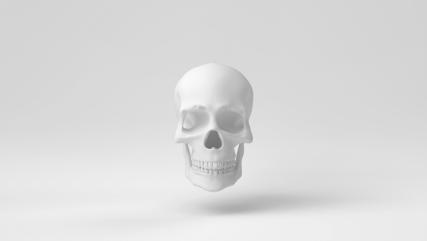 anatomically correct human skulls 3d render Stock Footage Video (100% ...