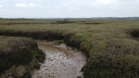 British marshlands with creeks and streams at Lion Creek, Wallasey Island, Essex, United Kingdom