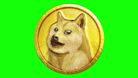 3d rendering motion looping of golden token Dogecoin (DOGE) cryptocurrencies, isolated on the green screen background.