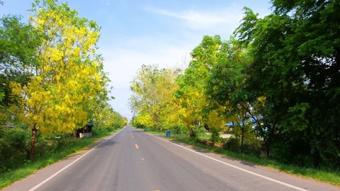 Lopburi, Thailand - Apl 23 2021: POV Drive travel on beautiful asphalt road passes through Golden shower flowers are bloom on both sides with blue sky at Lopburi unseen Thailand