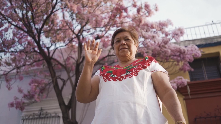 Mexican adult woman smiling at camera. happy adult mexican looking at camera and waving. has pink tree background. typical clothing