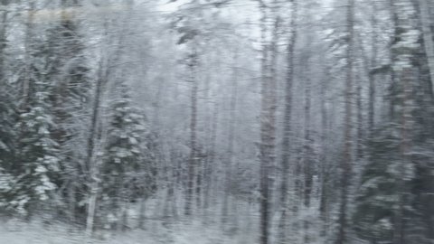  Moving along frozen woods, winter cold countryside landscape, snow and ice. Pov tracking shot from train window. 