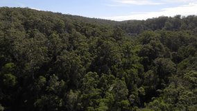 Tracking aerial panorama over rural small train moving near river high above dense forest bush outback tree tops, Australia