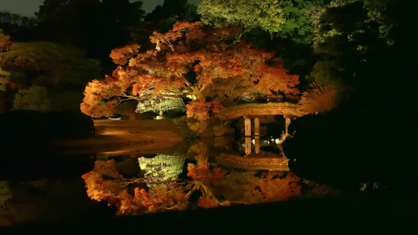 Night View of Rikugien Garden in Autumn, Tokyo, Japan, Time-lapse