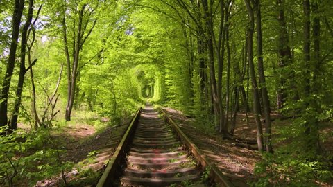 Tunnel of Love, Ukraine, Romantic Place, Klevan, Nature, Railway, Park