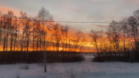 High bare trees with crows nests in snowy valley against bright orange and yellow sunset view through driving train window