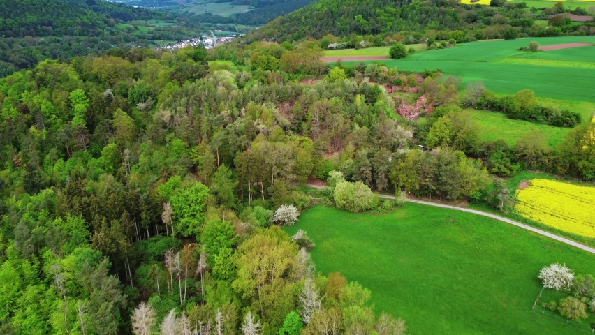 Forests and agricultural fields in germany
German nature
Green fields and forests