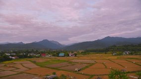 4K Timelapse Video of Rice Field with Cloud Moving at Pua city.