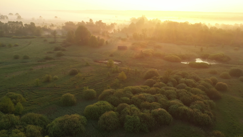 Flight over the trees in the fog at dawn.