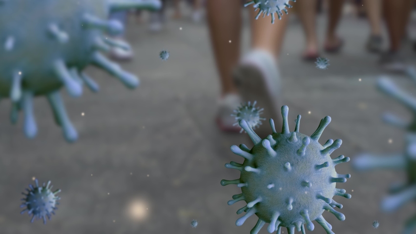 Shutterstock Video