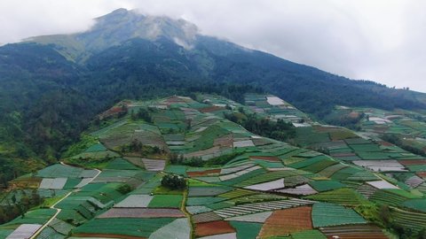 Patchwork quilt of agricultural fields on mountain slope aerial view, Indonesia