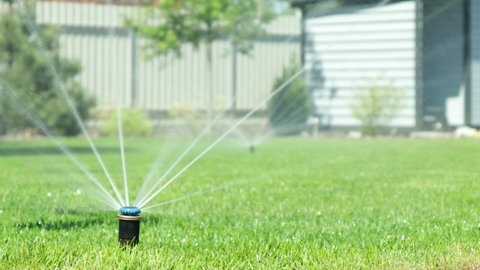 Grass irrigation. Garden Irrigation sprinkler watering lawn. 庫存影片