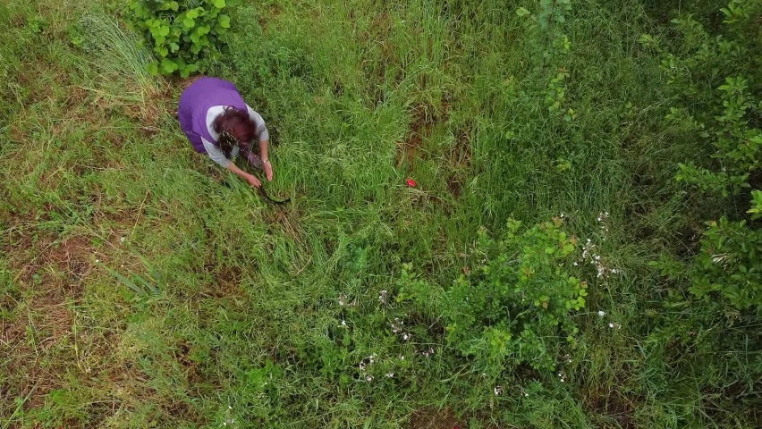 Woman cutting the grass in the garden with sickle. Gardening time. Aerial view