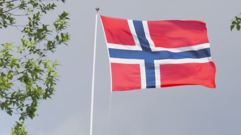 The Norwegian flag swaying  in the wind during national day (17. mai) in slow motion. Green leaf's in the foreground. Cloudy sky but the sun is shining on the flag. 25 fps. full HD