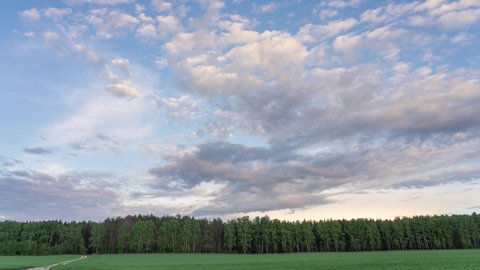4k video time lapse. White sunset clouds moving in blue sky, green forest seen in distance on horizon line, green young winter crops in foreground