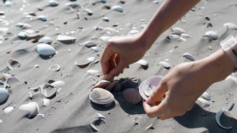 A woman's hands are seen picking up calm shells from a dry sandy beach in New Zealand.