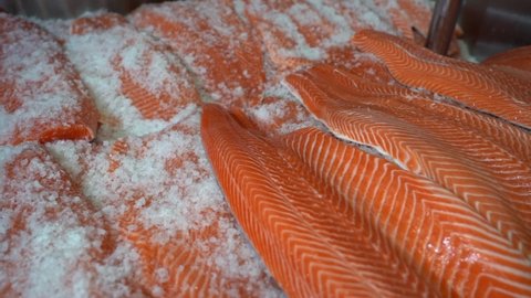 Person with rubber gloves gently laying down fresh raw salmon fillet in salt - Salted smoked salmon preparation