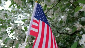 Miniature flag of America on the background of a flowering tree. Politics, learning a foreign language. July 4. Memorial Day.