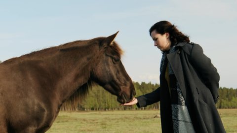 Young woman feeding Konik Polski horse standing on green meadow hill