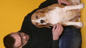 Vertical video. Portrait of a young guy with glasses hugging his cute friend the beagle dog. Animals and human friendship