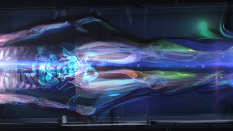 Amazing shot of Human Body  Hologram Showing health indicators. Brain, Heart, Veins, Organs, Skeleton Bones and Full Anatomy of the Male Patient. Scanner using Artificial Intelligence. Futuristic 