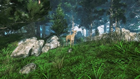 Serene woodland scenery with single young deer - fawn grazing on green grass in fairytale dense forest at sunny spring day. With no people realistic 3D animation rendered in 4K