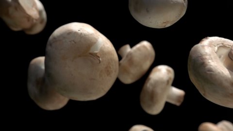 Close-up of the champignon mushrooms falling down on the black background