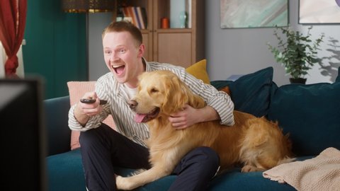 British redhead young man watching TV show program with his retriever dog, sitting on sofa together with pet, student petting his happy domestic animal puppy.