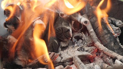 Bonfire in barbecue. Hot coals and charred logs in burning fire. Campfire. Brightly burning wooden logs
