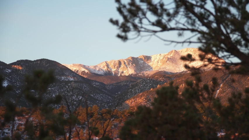 Pikes Peak revealed through foreground trees in golden evening light