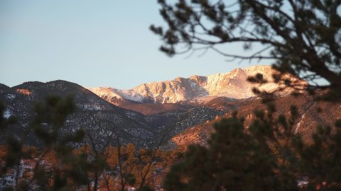 Pikes Peak revealed through foreground trees in golden evening light