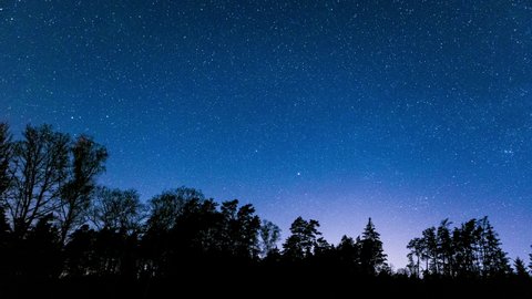 Stunning night sky 4k timelapse with stars over forest.