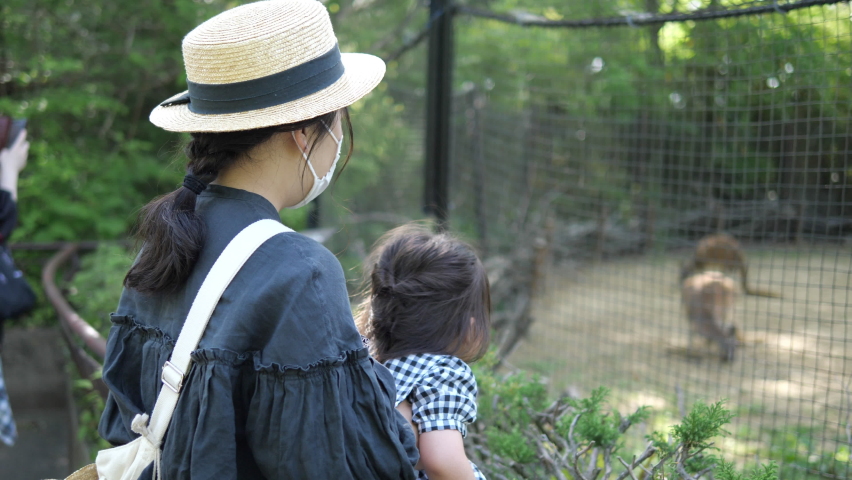 zoo tour au parc