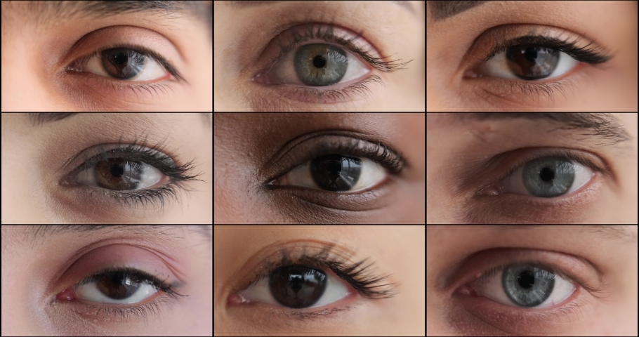 Grid of blinking human eyes | Shutterstock HD Video #1072659035