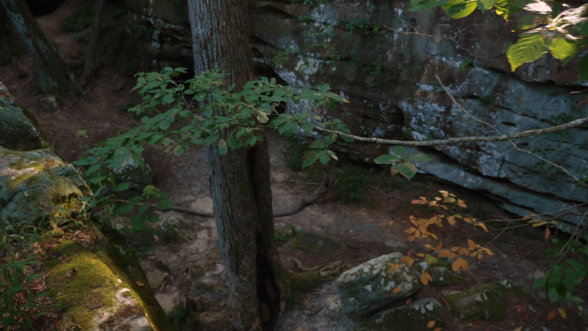 A young traveling hipster woman wearing a backpack hikes across a spectacular natural rock bridge on a park trail above a ravine, slow motion tracking shot
