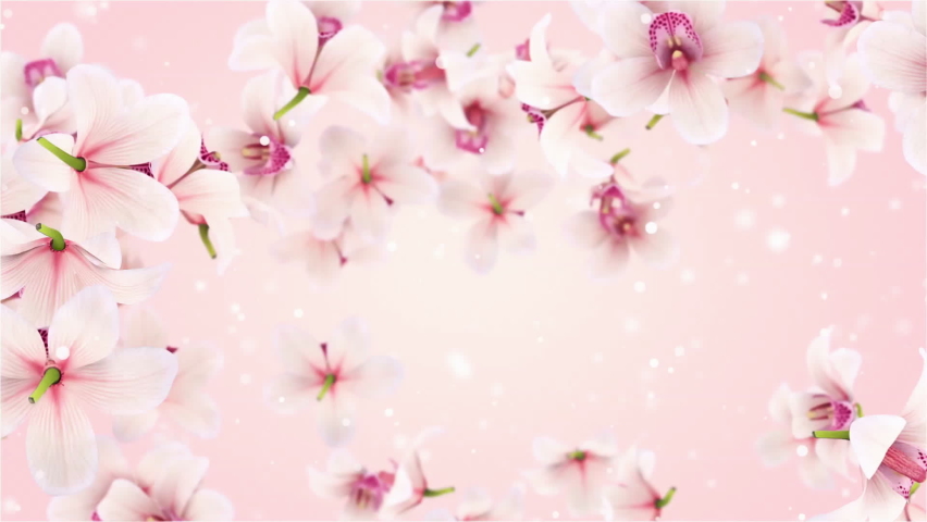 3d flowers orchid falling background looped Stock Footage Video (100% ...