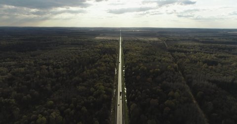 One Semi Truck with white trailer and red cab driving, traveling alone on dense flat forest asphalt straight road, highway top down view follow vehicle aerial footage. Freeway trucks traffic