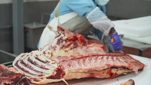 Professional butcher cuts beef carcasses, meat production and food industry, the process of harvesting meat, worker uses equipment for slicing meat, meat processing plant.