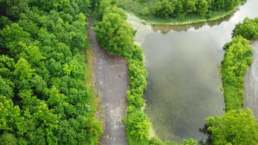 A lowering view next to the swamp